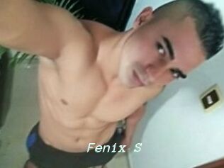 Fenix_S