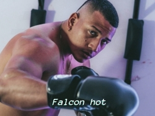 Falcon_hot