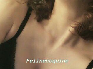 Felinecoquine