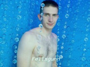 Felixgunn