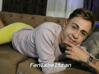 Fenixbeltran