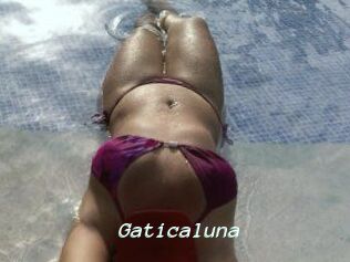 Gaticaluna