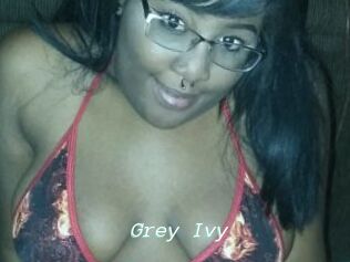 Grey_Ivy