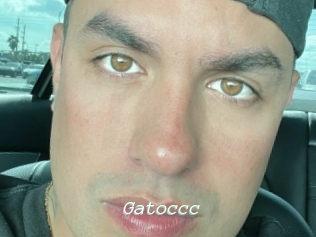 Gatoccc