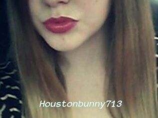 Houstonbunny713