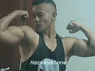 Harveystone