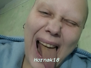 Hornak18