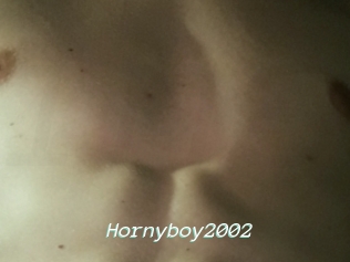 Hornyboy2002