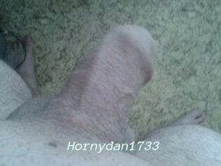 Hornydan1733