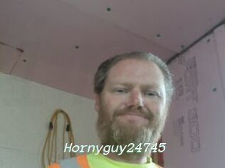 Hornyguy24745