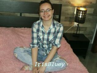 IrisBluey