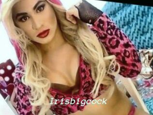Irisbigcock