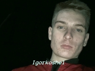 Igorkoshel