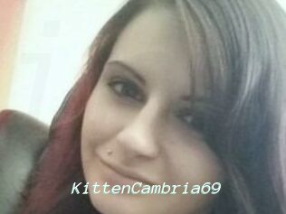 KittenCambria69