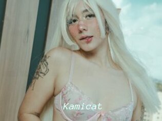 Kamicat