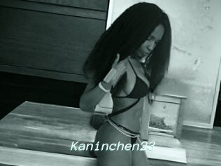 Kaninchen23