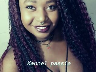 Kannel_passie