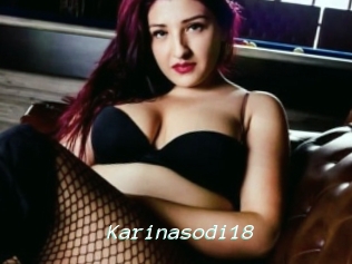 Karinasodi18