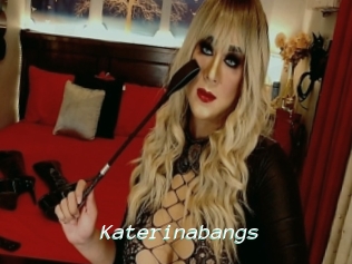 Katerinabangs