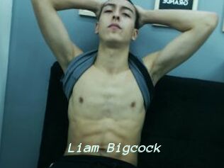 Liam_Bigcock