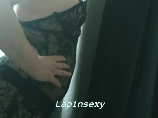 Lapinsexy