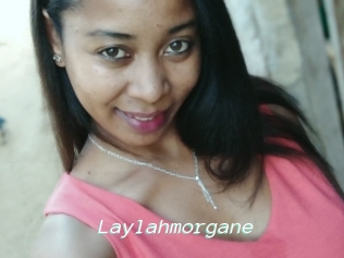 Laylahmorgane