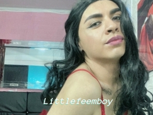 littlefeemboy Insenses