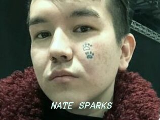 NATE_SPARKS