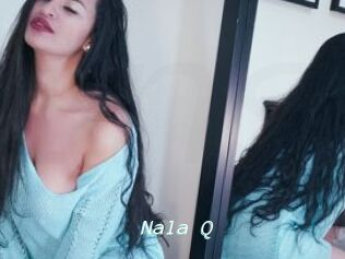 Nala_Q