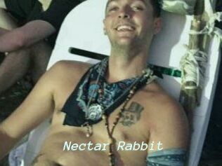 Nectar_Rabbit