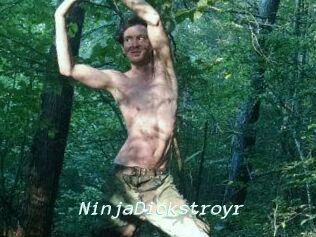 NinjaDickstroyr