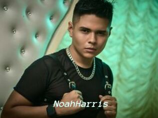 NoahHarris