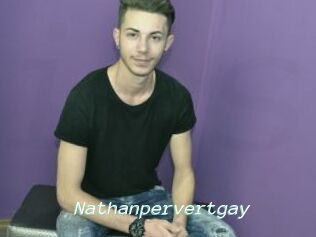 Nathanpervertgay