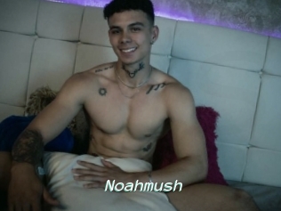 Noahmush