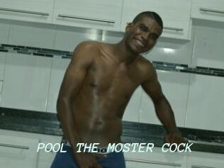 POOL_THE_MOSTER_COCK