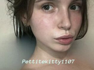 Pettitekitty1107