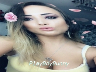 PlayBoyBunny