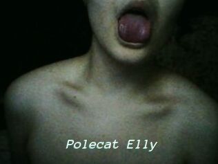 Polecat_Elly