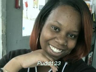 Pudd123