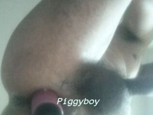 Piggyboy