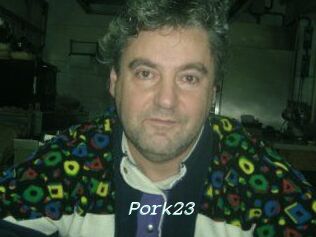 Pork23