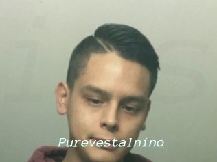 Purevestalnino