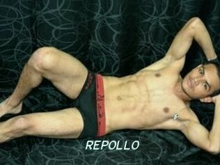 REPOLLO