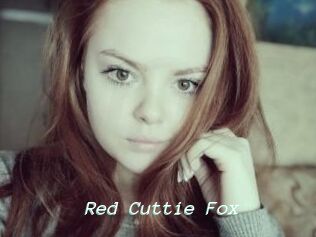 Red_Cuttie_Fox