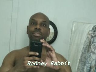 Rodney_Rabbit