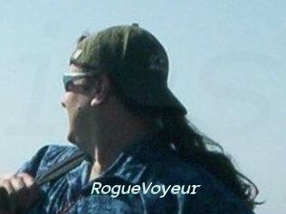 RogueVoyeur