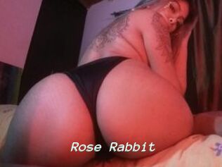 Rose_Rabbit