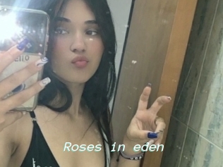 Roses_in_eden