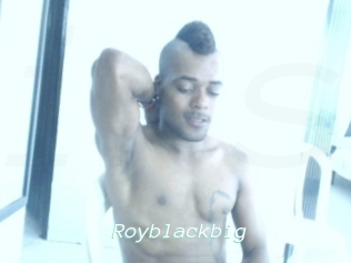 Royblackbig