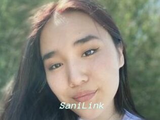 SaniLink